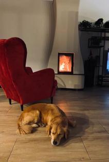 Kamin aus Polen - Hersteller - Eigene Produktionswerkstatt und Kaminstudio