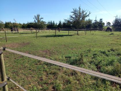 Offenstallplatz frei