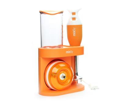 Stabmixer Blender Mixer Smoothiemaker Hochleistungsmixer Zepter + Gratis
