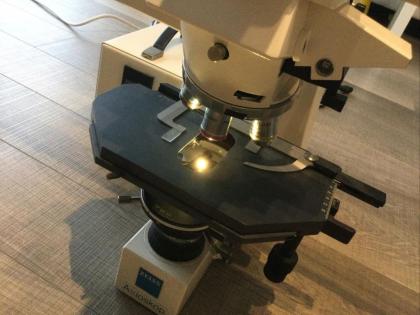 Zeiss Axioskop Diskussionsmikroskop