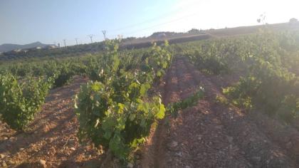 Baugrundstueck 25.0000m2 mit Tiny/ Gaestehaus Spanien