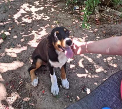 Winz sucht ein passendes Zuhause