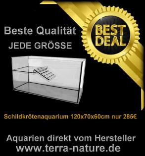 Schildkrötenaquarium 180x60x50 cm mit 2 Inseln Schildkröten