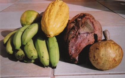 SCHOENES STUDIO IN TOBAGO (KARIBIK)