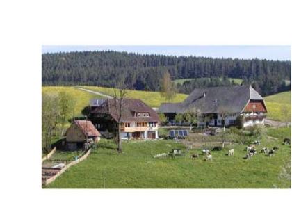 Ferienwohnung auf Biohof mit schönem Ambiente, super Lage, für Familien-, Wander