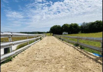 Offenstall mit Trail, Reitplatz, Roundpen, in Belgien hat noch einen Platz frei.
