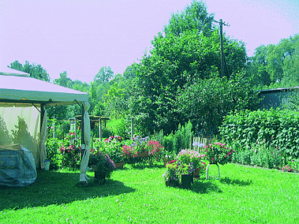 71 m² sanierte Altbauwohnug in 09235 Meinersdorf