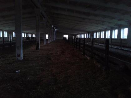 Kapitalanlage, Stallgebäude für Hühner, Schweine , Kühe