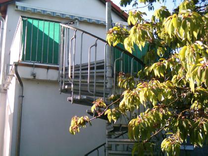 Große möbelierte Wohnung
