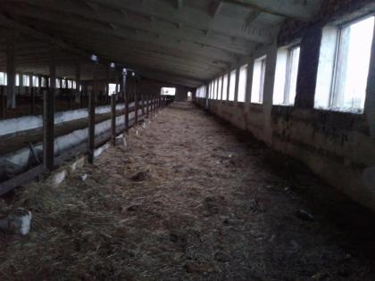 Kapitalanlage, Stallgebäude für Hühner, Schweine , Kühe
