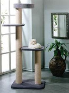 Katzenkratzbaum ROBUSTA