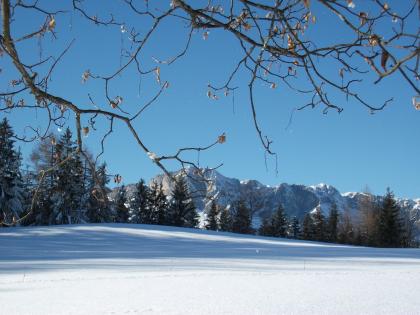 Tipp für Erholungssuchende:Urlaub in Traumferienwohnung in Berchtesgaden
