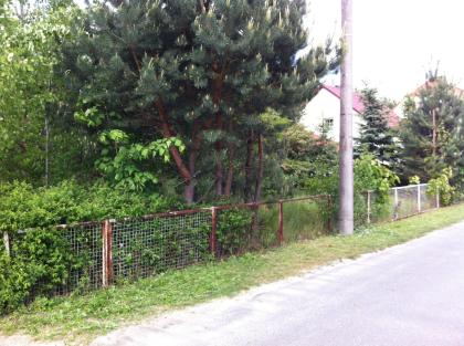 Bau und Gartengrundstück 1107m   in wunderschöner Lage - Crinitz NL