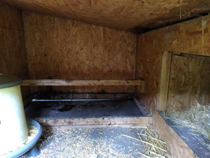 Winterfester Hühnerstall