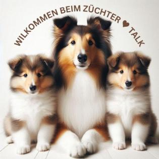 Vom Hobby zur Profi-Zucht:  Du willst als Hunde- oder Katzenzüchter endlich durc
