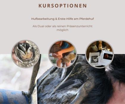 Huf-Kurs, Dual-Kurs & Präsenzunterricht