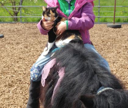 Kid´s Kurs – Pferdecamp, Reiterferien