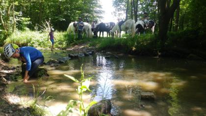 Kid´s Kurs – Pferdecamp, Reiterferien