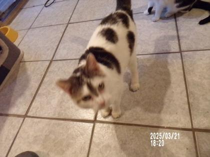 Suche Nadel im Heuhaufen