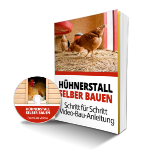Eigenen Hühnerstall selber bauen