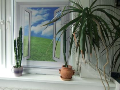 Www.bedruckte-fenstergestaltung.de