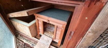 Meerschweinchen Außenstall mit Zubehör abzugeben