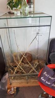 Terrarium zu verkaufen