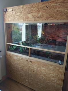 OSB Terrarium komplettset mit 2 Kornnattern 