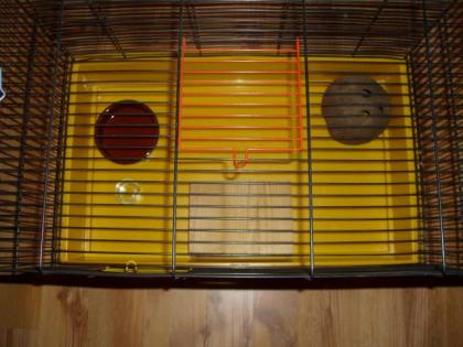 Hamsterkäfig mit Zubehör und 1 Zwerghamster