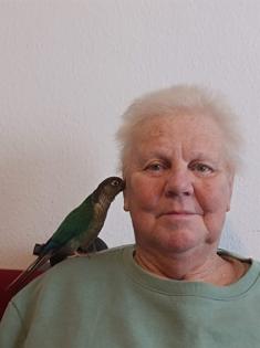 Nelly, Grünwangenrotschwanzsittich, weiblich