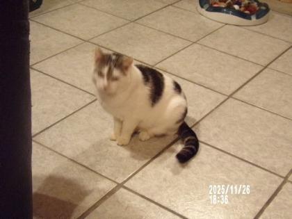 Suche Nadel im Heuhaufen