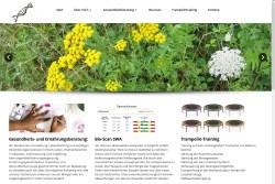 Responives Webdesign, SEO und Kundenbindung durch CRM