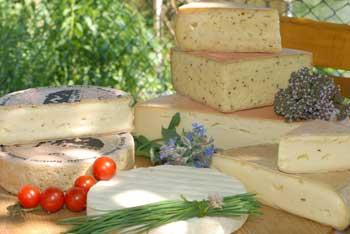 Leckerer Biokäse aus dem Schwarzwald direkt vom Biohof