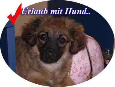 Urlaub mit Hund Insel Vir Kroatien ab 39.-€ für 4 Personen und Hautier