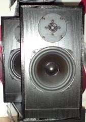 Kultlautsprecher I.Q. Minilady