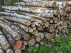 Kaminholz Brennholz Feuerholz Birke Stammholz Länge 2, 50 m