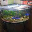Eckaquarium zu verkaufen