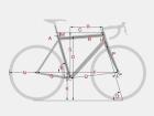Rennrad Kaufberatung Körpervermessung Bike Fitting