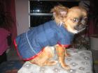 Hundejacken und mehr