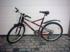 26er Mountain Bike neu