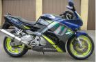 Viper Alu-Rennsportauspuff CBR 600 F