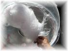 Zuckerwatte zum Mieten- Süßer kann Werbung nicht sein...