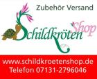 Schildkröten Zubehör günstig!