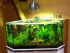 5 Eckaquarium mit Zubehör