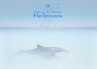 Heilpraxis Schorer & Sauter