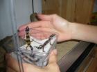 3 juvenile Leopardengeckos