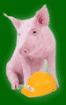 Schwein gehabt & Geld gespart !
