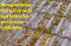 DER PROFI MACHT´S