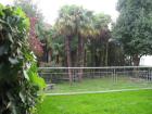 Schöne 2.5 gartenwohnung in locarno zu vermieten.