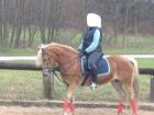 Bin ein super allround talent